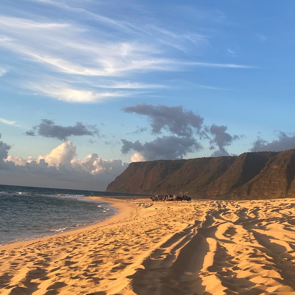 Meet your Posher, Kam